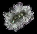 Amethyst Stalactite Slice With Wood Base #33766-1